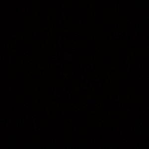 Meet your Posher, Fabiola